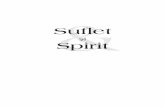 Edgar Cayce - Suflet Si Spirit