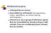 23 arbovirus
