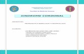 14845744 Sindrome Cordonal Posterior