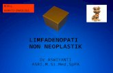 Limfadenopati Non Neoplastik