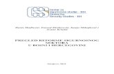 Pregled Reforme Sigurnosnog Sektora u Bosni i Hercegovini