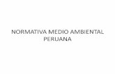 Normativa Medio Ambiental Peruana