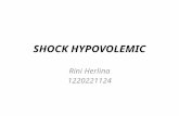 Shock Hypovolemic