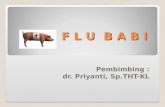 Flu Babi 150522