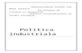 Referat POlitica Industriala