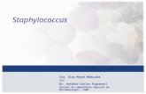 Staphylococcus Antonio Carlos Pignatari