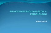 Presentasi Praktikum Biologi Blok 4 Per 2014