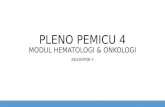 PLENO PEMICU 4