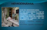 Esposicion de Hemodinamia (1)
