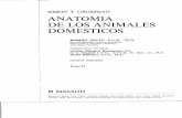 Anatomía de Los Animales Domésticos