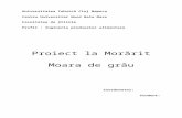 Proiect Morarit
