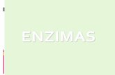 enzimas  dra barreno