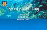 Buceo Snorkel