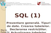 10 SQL1 Crearea BD Si Actualizare