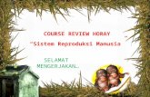 Course Review Horay