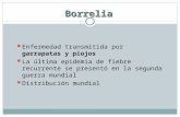 2 - Borrelia