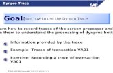 2_08 dynpro trace 8