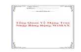Tong Quan Ve Mang Truy Nhap Bang Rong Wimax 0017