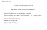 07a. CARSTOLOGIE - PREZENTARE 07 - Morfogeneza carstica.ppt