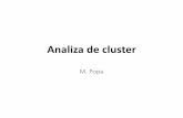 Cluster Analyze