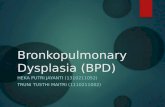Bronkopulmonary Dysplasia
