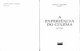 XAVIER, Ismail (org). A Experiência do Cinema.pdf