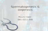 Spermatogenesis & Oogenesis