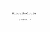 Biopsihologie P II stud.ppt