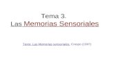 Clase 2010. Tema 3 Memorias Sensoriales