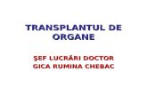 Transplant Ul