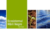 Ecosistemul Marii Negre