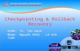 Chuong13 Checkpoint RollbackRecovery