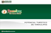 Tamaulipas Turismo