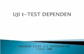 Uji T-test Dependen 2013