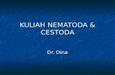 Dr.dina - Nematoda Usus