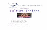 Cultura Indiana