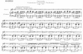 Sarasate - Fantasia Da Concerto Sulla Carmen Di Bizet Op 25, Violin & Piano
