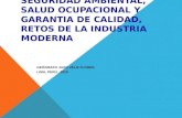 Salud Ocupacional -Juan Veliz Flores - Magister