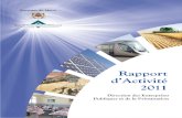 rapport d'activité 2011-DEPP.pdf