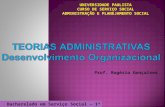 Teorias Administrativas - Desenvolvimento Organizacional
