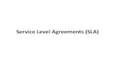 SATRC WG NET02 08 Service Level Agreements