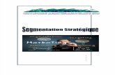 Segmentation stratégique