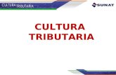 c10 Cultura Tributaria v2