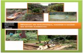 Manual de Segurança Higiene Saúde No Setor Florestal