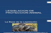 Legislacion de Proteccion Animal