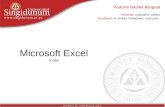 KAS 3 - Excel - Celije