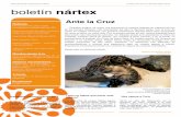 Boletin Nartex Nc2ba 29