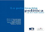 Libro Polarizacion Politica