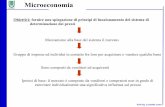 5- Microeconomia, macroeconomia