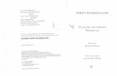 Soren Kierkegaard - Frike Dhe Dritherime - Perseritja
